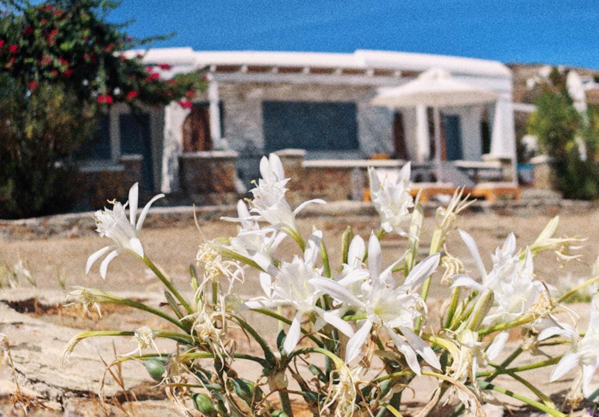 Diana'S Luxury Suites キスノス エクステリア 写真